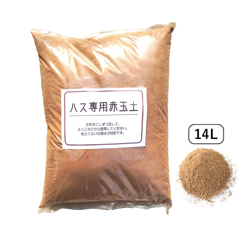 ハス専用赤玉土イメージ