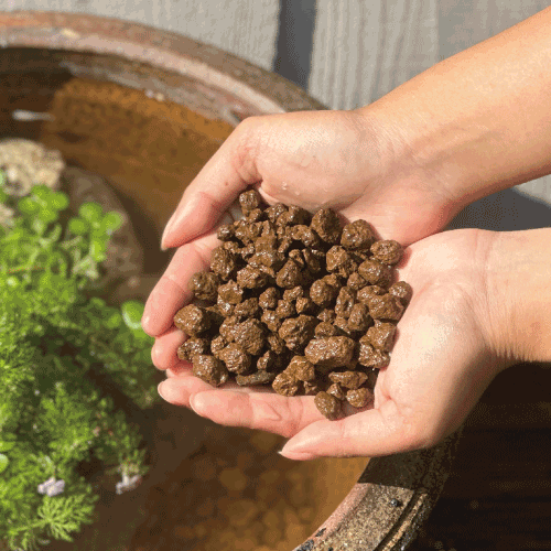 水質浄化土（中粒）イメージ