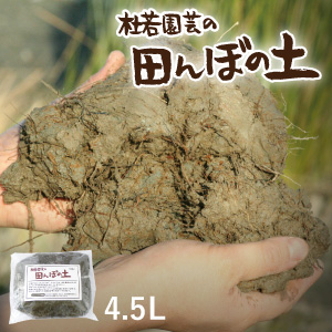 田んぼの土イメージ