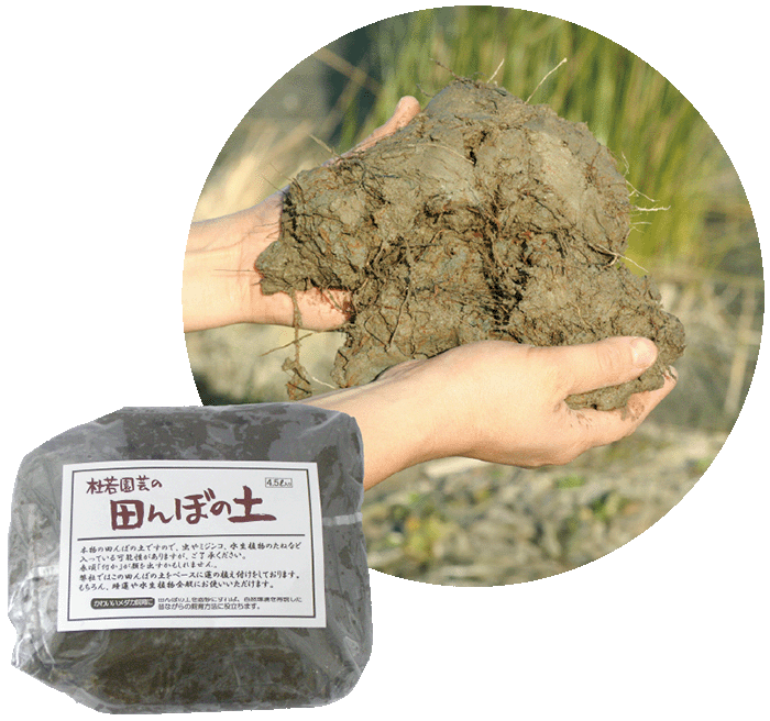 008-0026田んぼの土イメージ