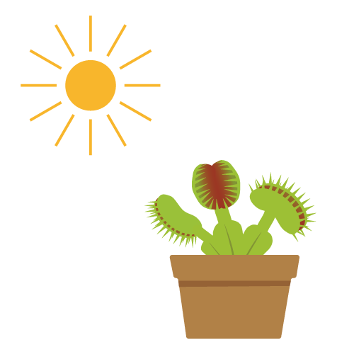 日当たりの様子