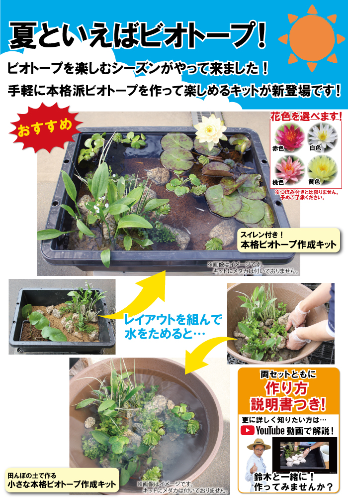 ビオトープ作成セットMV