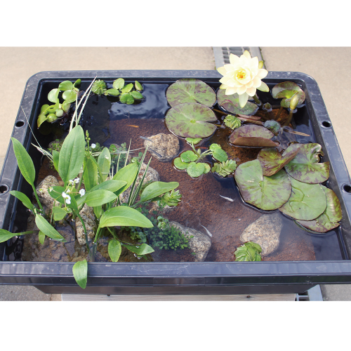 本格ビオトープ作成キット