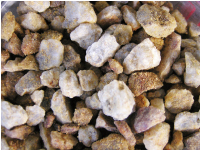 ネオライト拡大