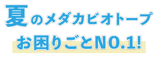 夏のメダカビオトープお困りごとNO.1！