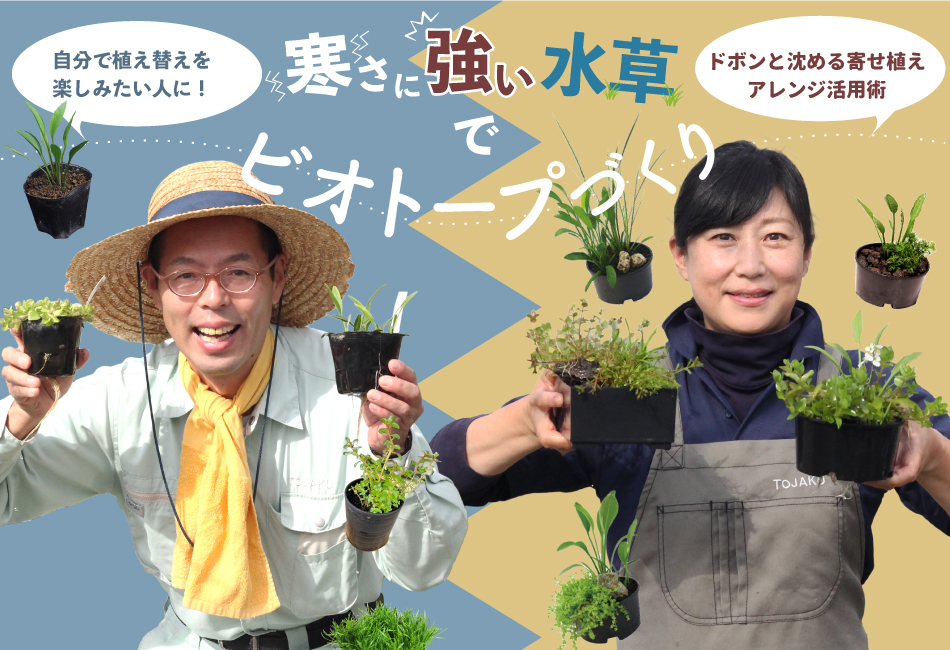 寒さに強い水草特集｜株式会社 杜若園芸
