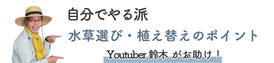 自分でやる派-水草選び・植え替えのポイント Youtuber鈴木がお助け!