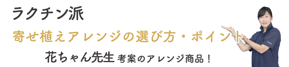 ラクチン派-寄せ植えアレンジの選び方・ポイント 花ちゃん先考案のアレンジ商品!