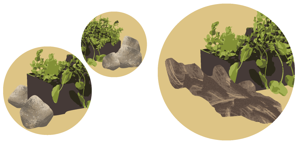 寒さに強い水草特集｜株式会社 杜若園芸