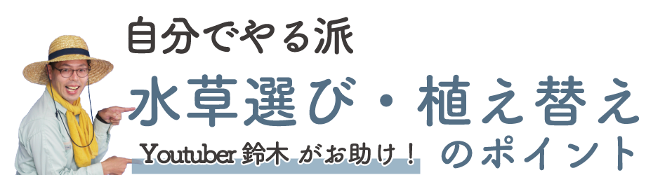 自分でやる派-水草選び・植え替えのポイント Youtuber鈴木がお助け!