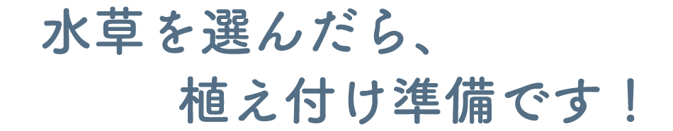 水草を選んだら、植え付け準備です!