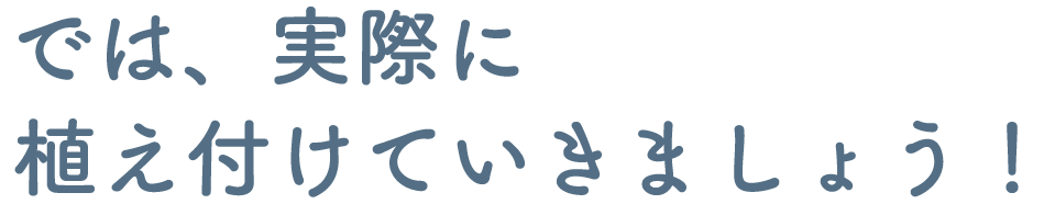 では、実際に植え付けていきましょう!
