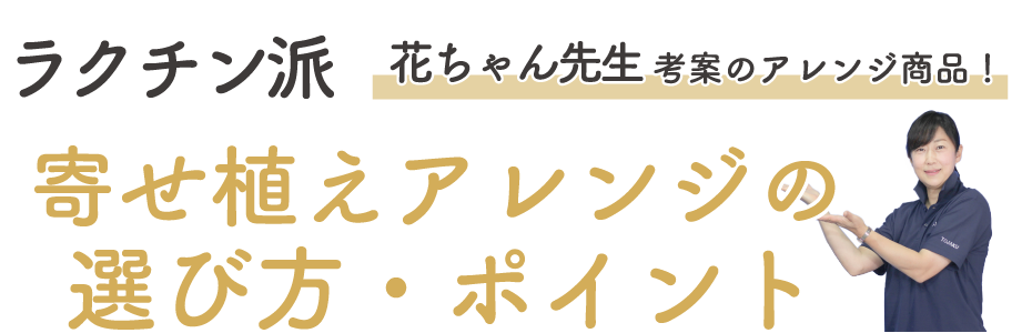 ラクチン派-寄せ植えアレンジの選び方・ポイント 花ちゃん先考案のアレンジ商品!