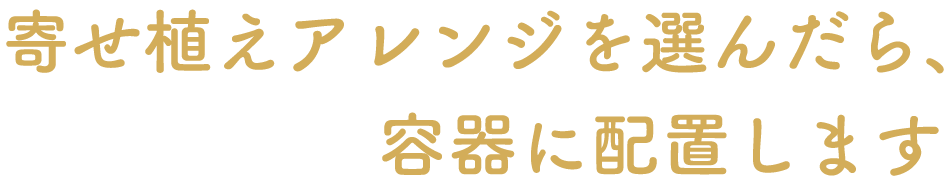 寄せ植えアレンジを選んだら、容器に配置します