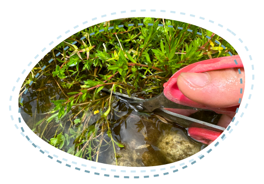 重なり合う部分はカット