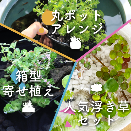 2023年新商品特集ページ