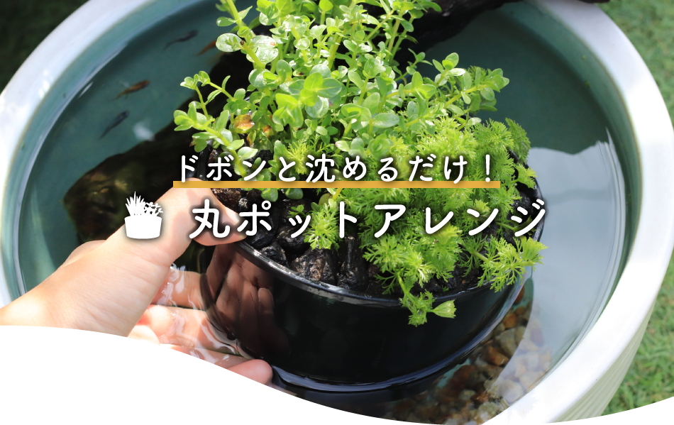 メダカマンション　3段タワー【受け取り限定】 2023年 新商品特集｜株式会社 杜若園芸