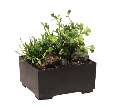 ar-0155商品イメージ