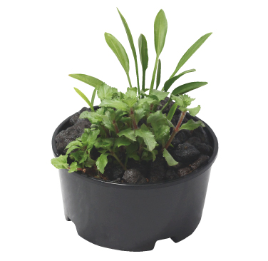 ar-0162商品イメージ