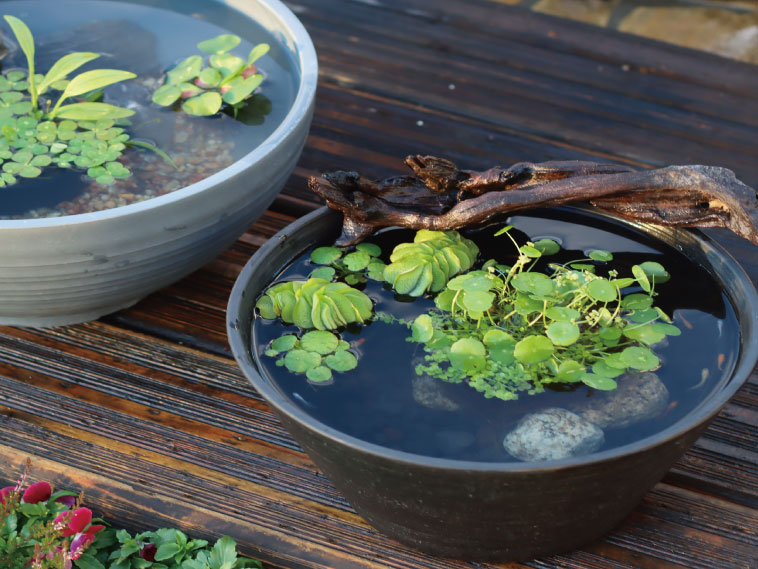 産ランランド♪ar-0179イメージ