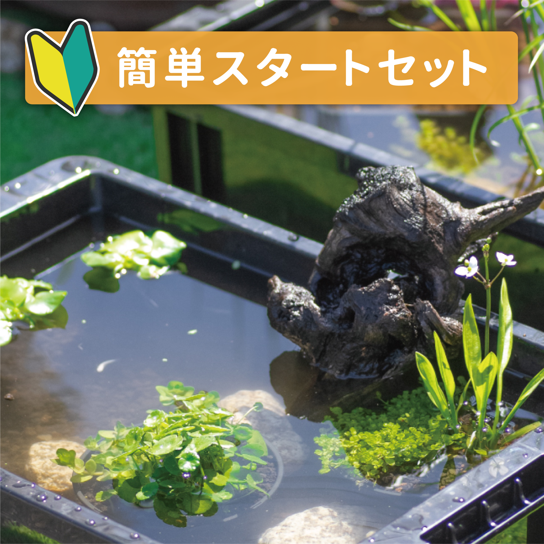 簡単スタートセット