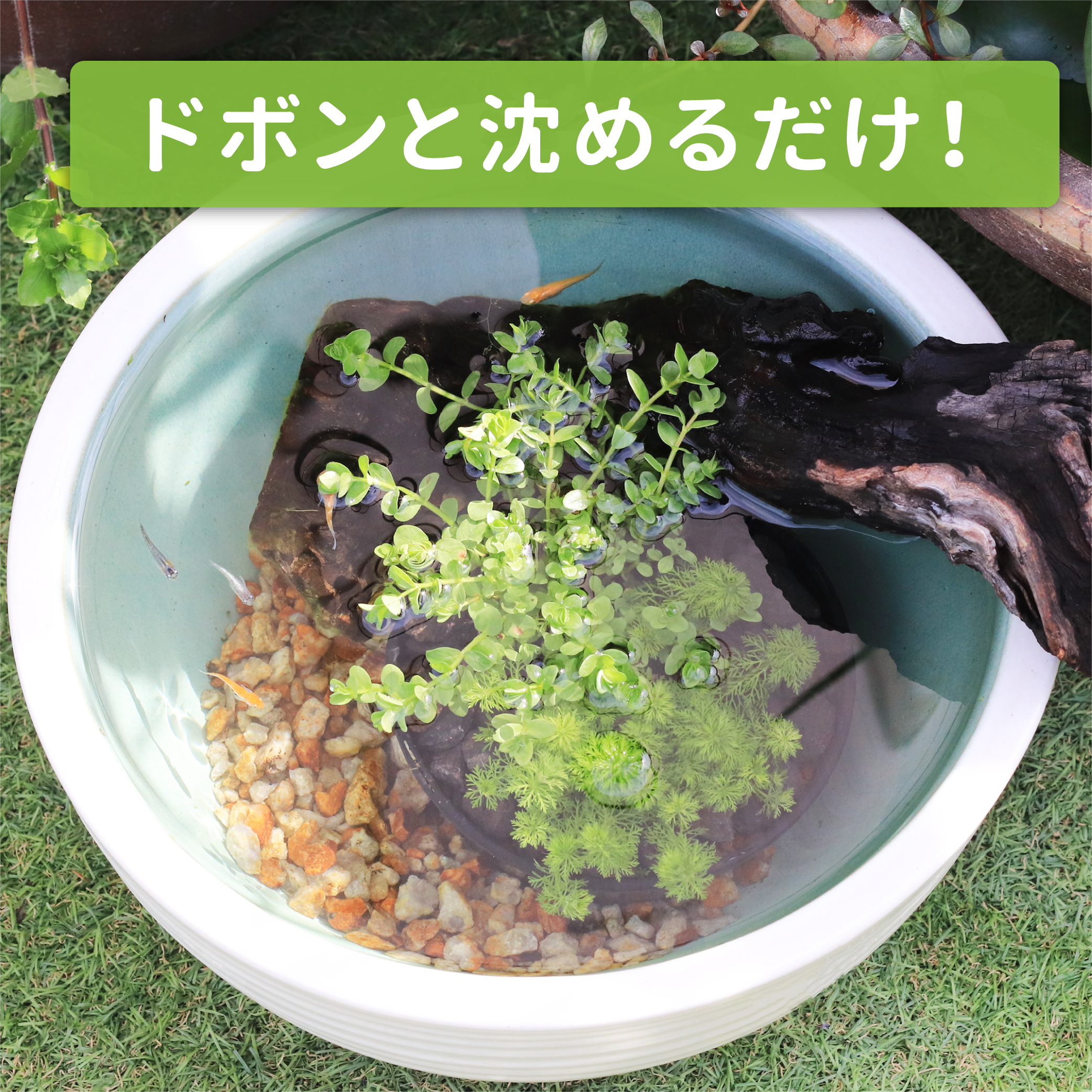 ドボンと沈めるだけ！