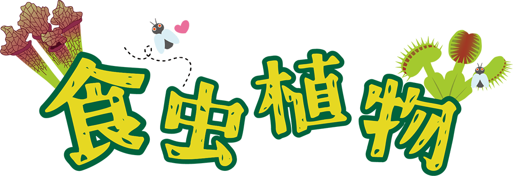食虫植物