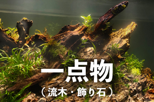 一点物