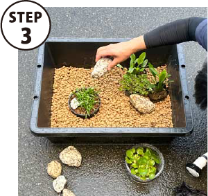STEP3