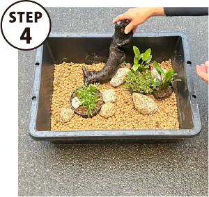 STEP4