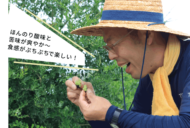 店長が試食する様子