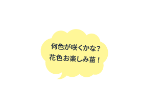 プレゼントふきだし