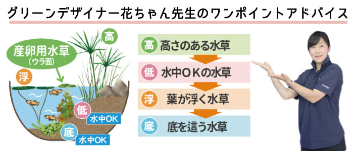 グリーンデザイナー花ちゃん先生のワンポイントアドバイス