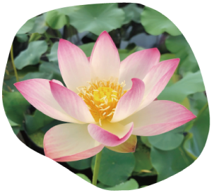 has-104小午飛イメージ