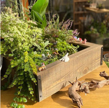 ウッドフレームイメージ