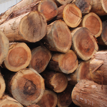 京の高級木枠イメージ