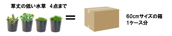 梱包サイズについて