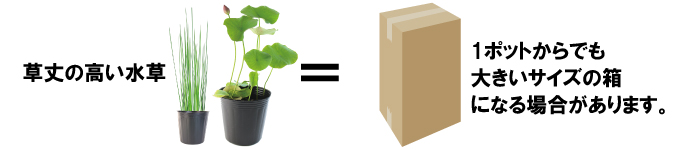 梱包サイズについて