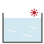 メダカの水合わせ