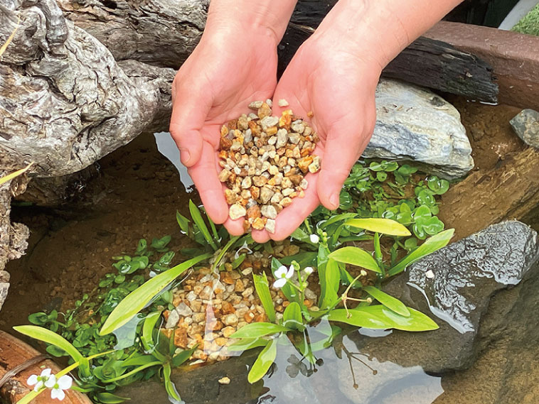 水をキレイにする石イメージ