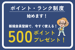 ポイント制度