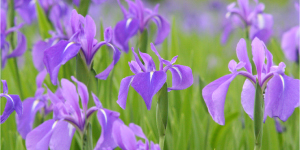 その他の情報イメージ