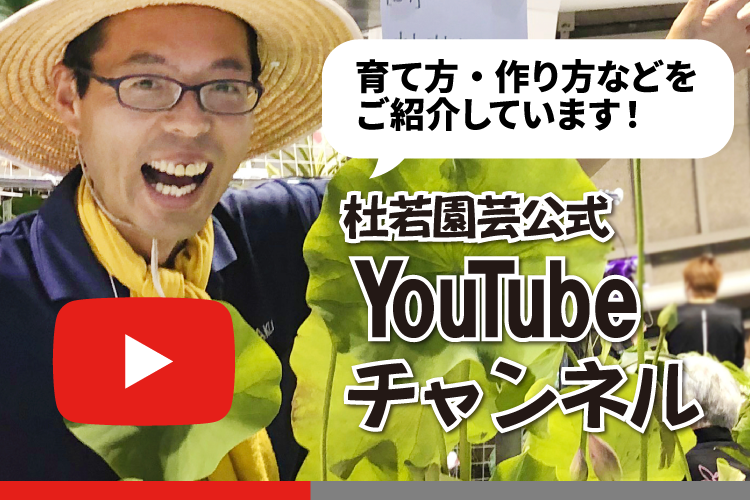 youtube一覧へ