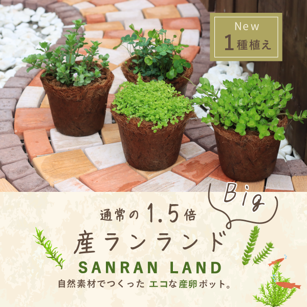 sanranland_squarebaner.png