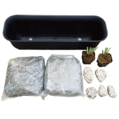 set-001セット内容