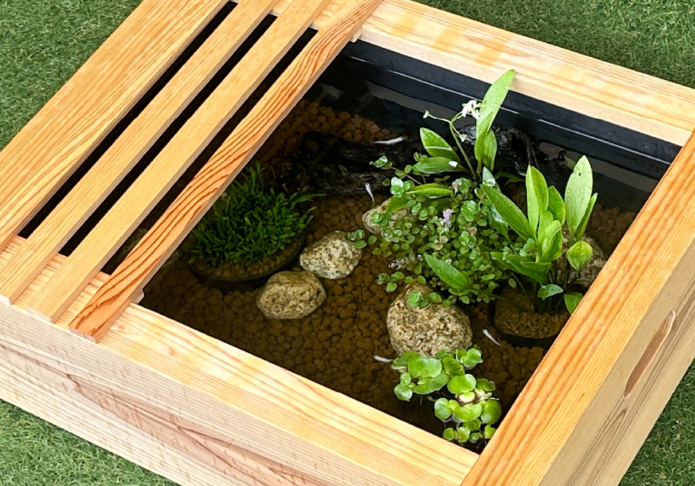 ビオトープコーディネートセット | 杜若園芸WEBショップ｜水草の生産