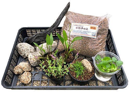 set-1059ビオトープコーディネートセット