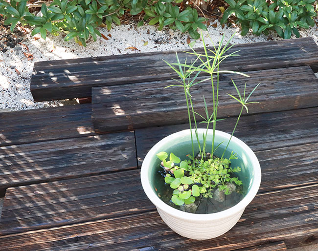 set-1071完成イメージ写真