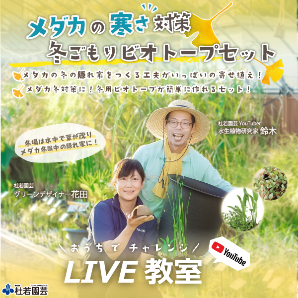 set-1107【YouTubeライブ教室】 メダカの寒さ対策！ 冬ごもりビオトープセット