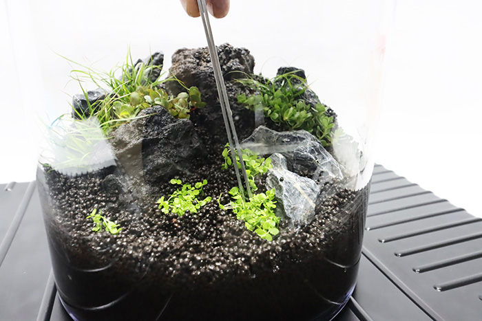 set-1126癒しのアクアリウムキットの作り方